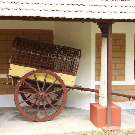 'Vrindavan' In Heritage City Mysuru Екстер'єр фото